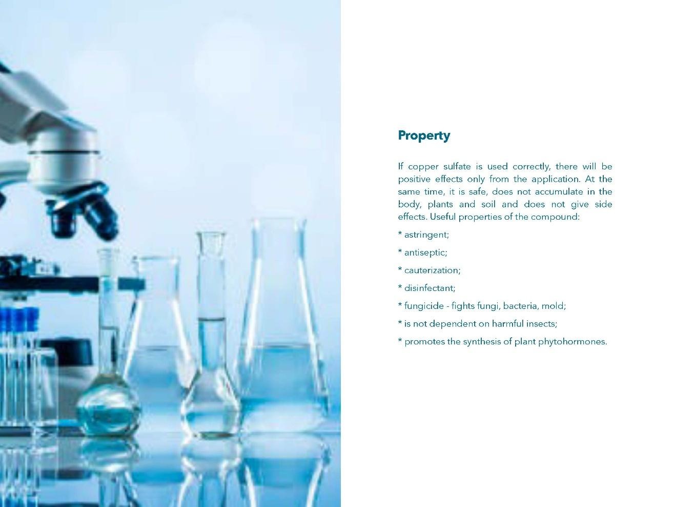 Copper Sulphate Manufacturing Presentation: Localized chemical synthesis, crop disease protection, and EU compliance parameters.