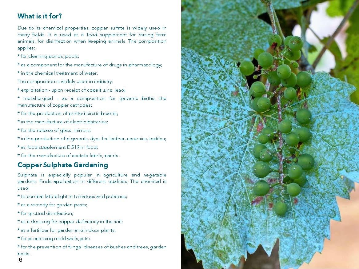 Copper Sulphate Manufacturing Presentation: Localized chemical synthesis, crop disease protection, and EU compliance parameters.