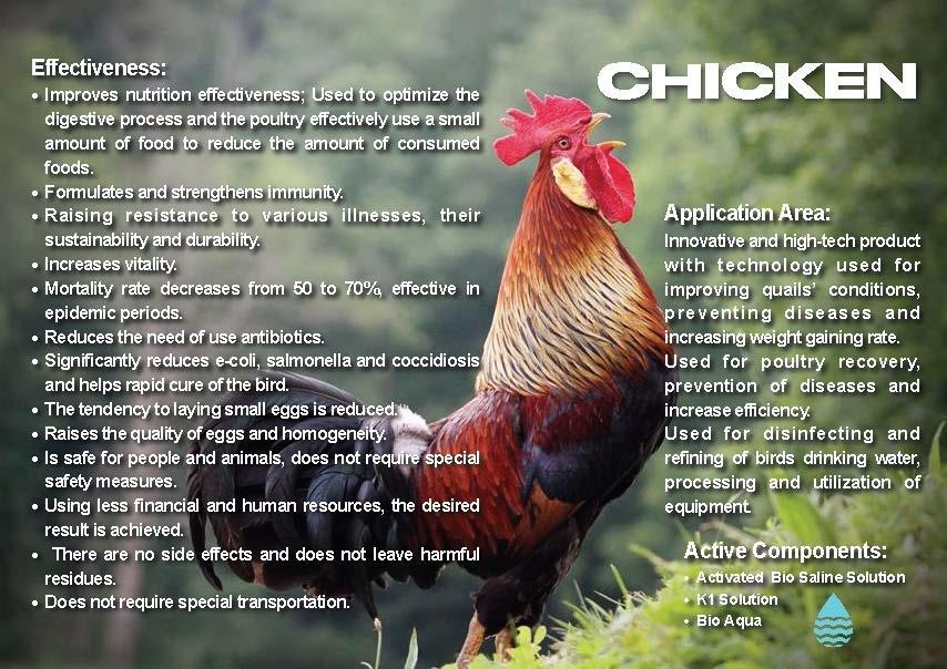 Veterinary Bio-Security Presentation: Ecological cattle/poultry disinfection, broad-spectrum sanitization, and non-residual safety.