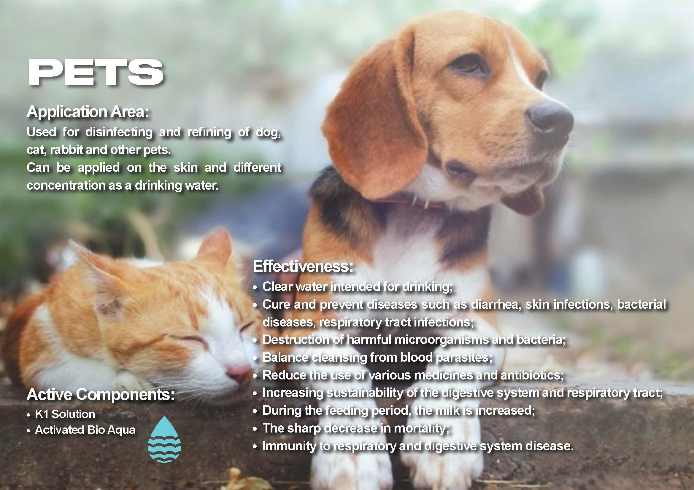 Veterinary Bio-Security Presentation: Ecological cattle/poultry disinfection, broad-spectrum sanitization, and non-residual safety.